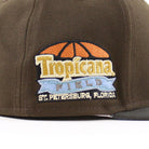 Tampa Bay Devil Rays TROPICANA FIELD New Era 59Fifty Fitted Hat (Walnu ...