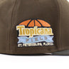 Tampa Bay Devil Rays TROPICANA FIELD New Era 59Fifty Fitted Hat (Walnu ...