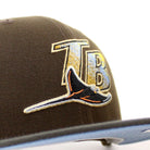 Tampa Bay Devil Rays TROPICANA FIELD New Era 59Fifty Fitted Hat (Walnu ...